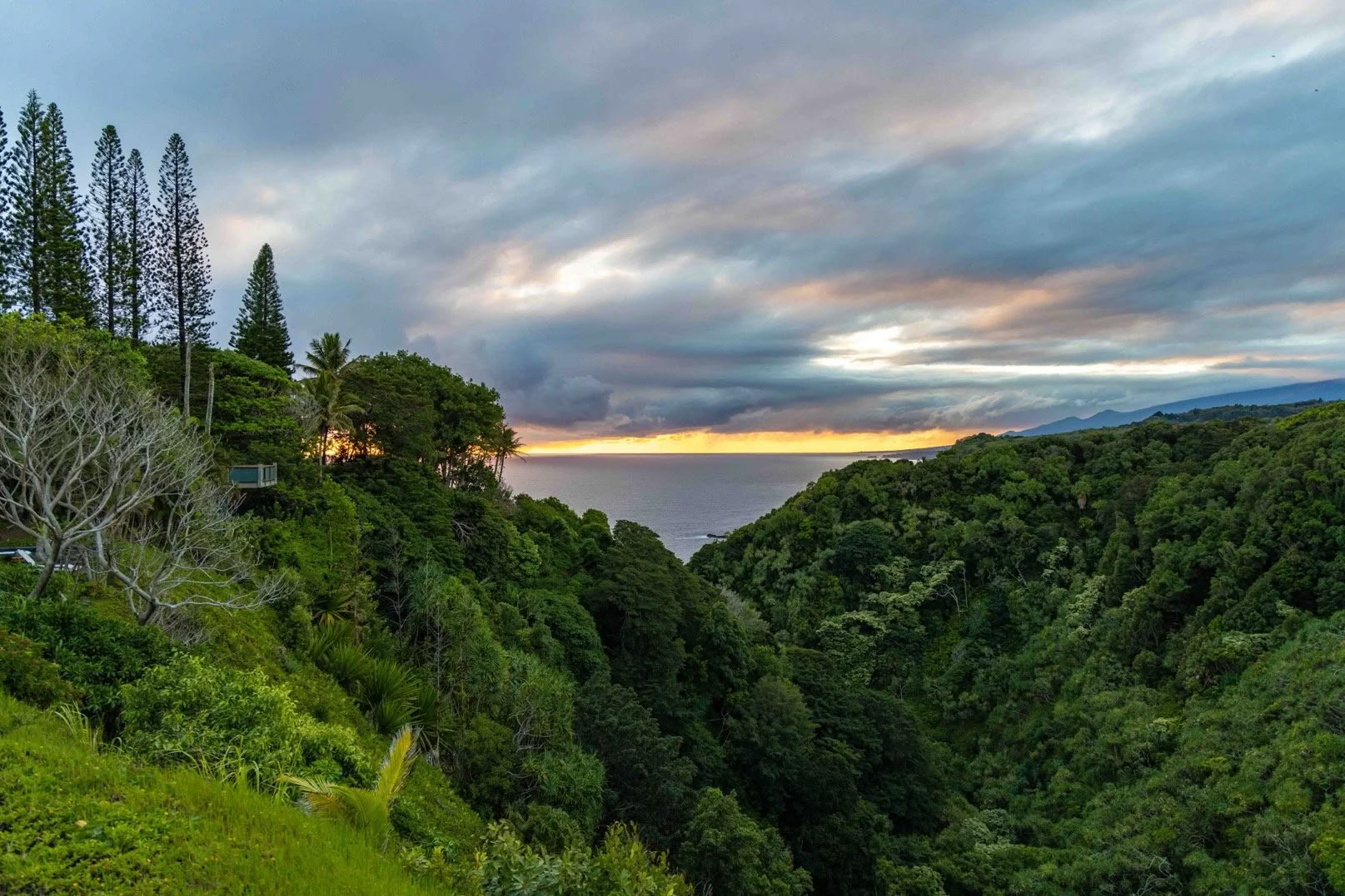 Få ordning på dig själv-retreat – Maui