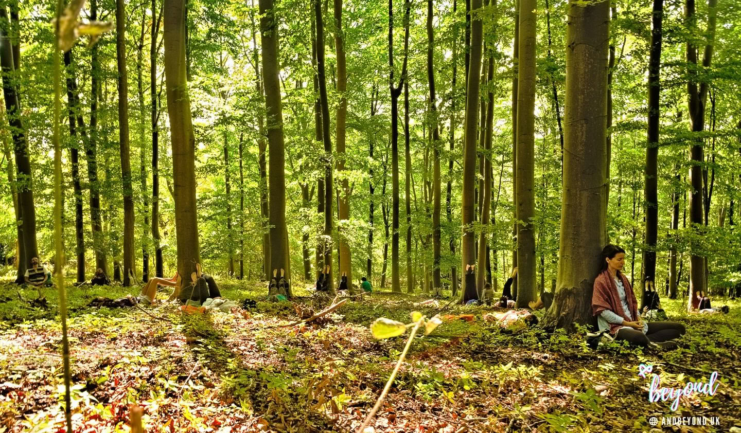 Naturligt flöde ༄ yogaretreat 2026