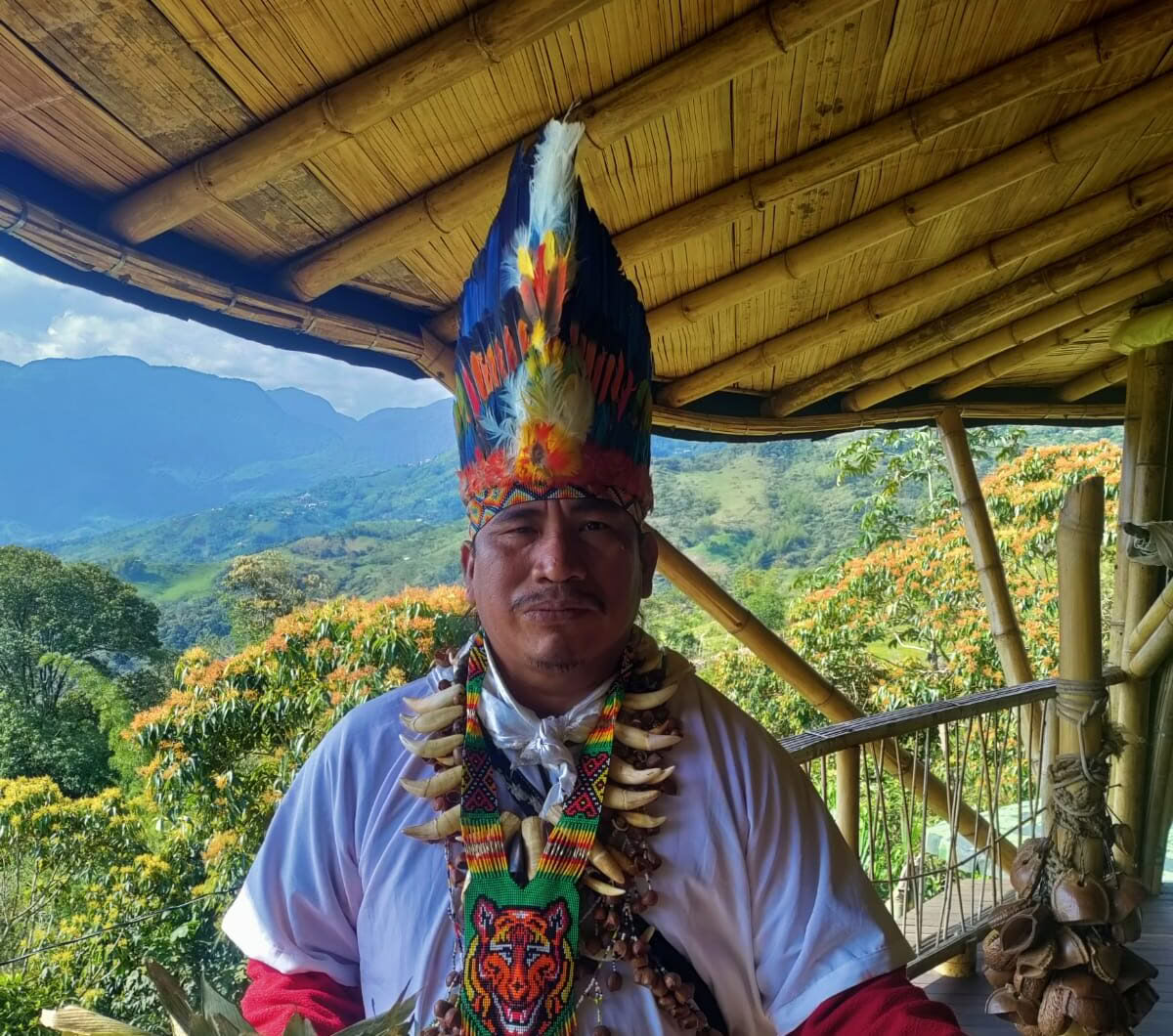 Ayahuasca- och somatisk resa