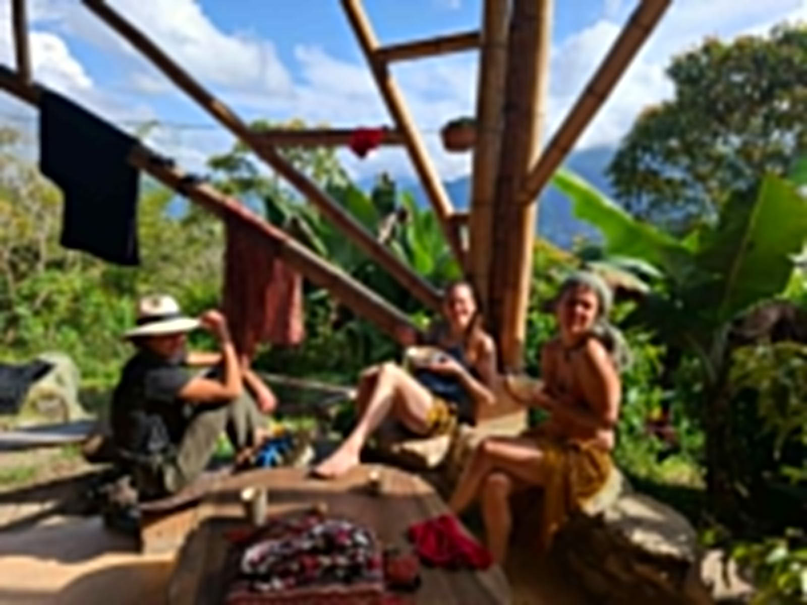 Ayahuasca- och somatisk resa