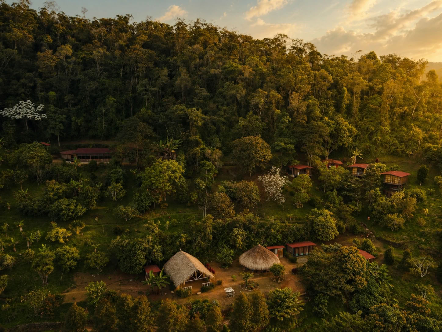 Ayahuasca-retreat i Medellín i oktober 2026