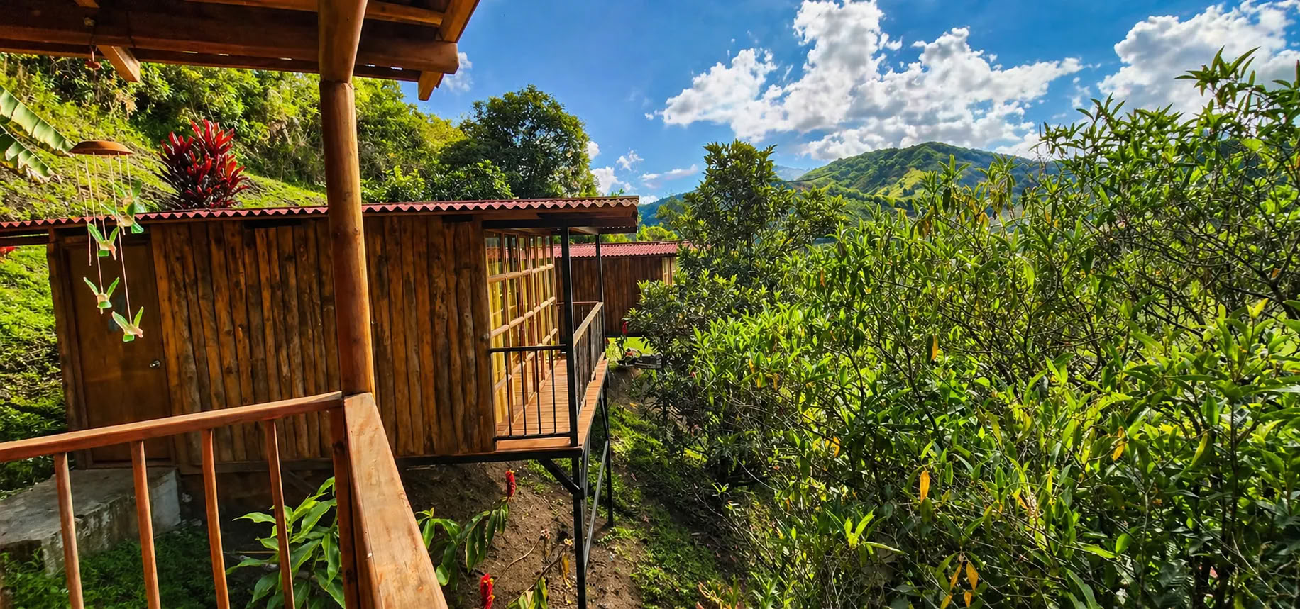 Ayahuascaretreat i Medellín i juli 2026