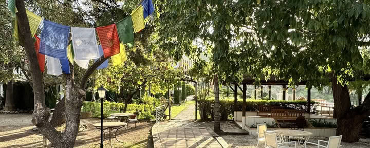 Yoga-retreat i Spanien – nivå för fortsättare — Iyengaryogaläraren Rachel Lovegrove, nivå 3