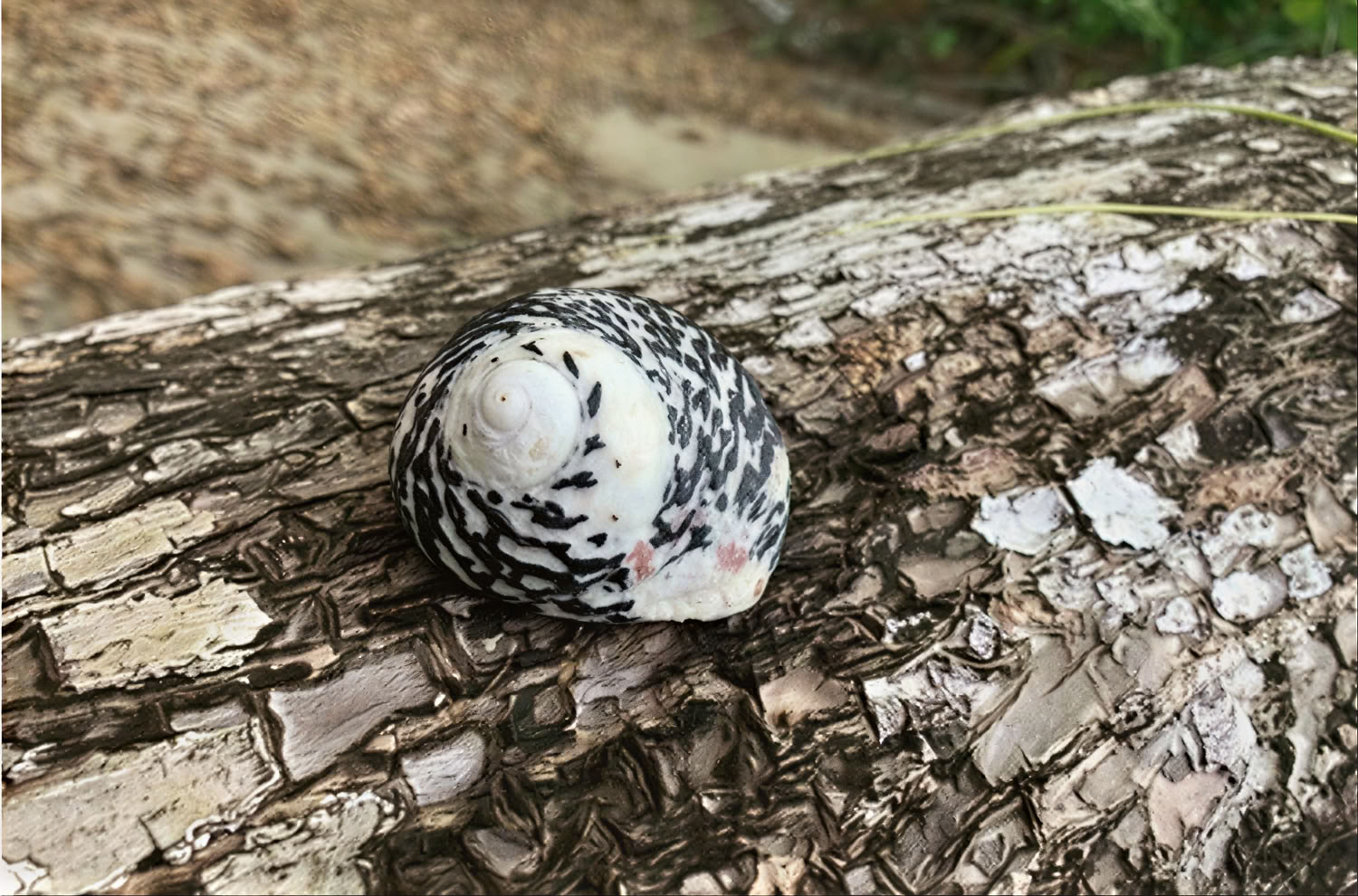 Förnya och minnas yogaretreat