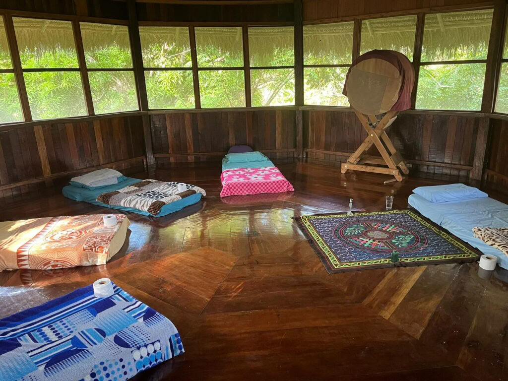 13-dagars ayahuasca halvmaraton – 30 nov – 12 dec