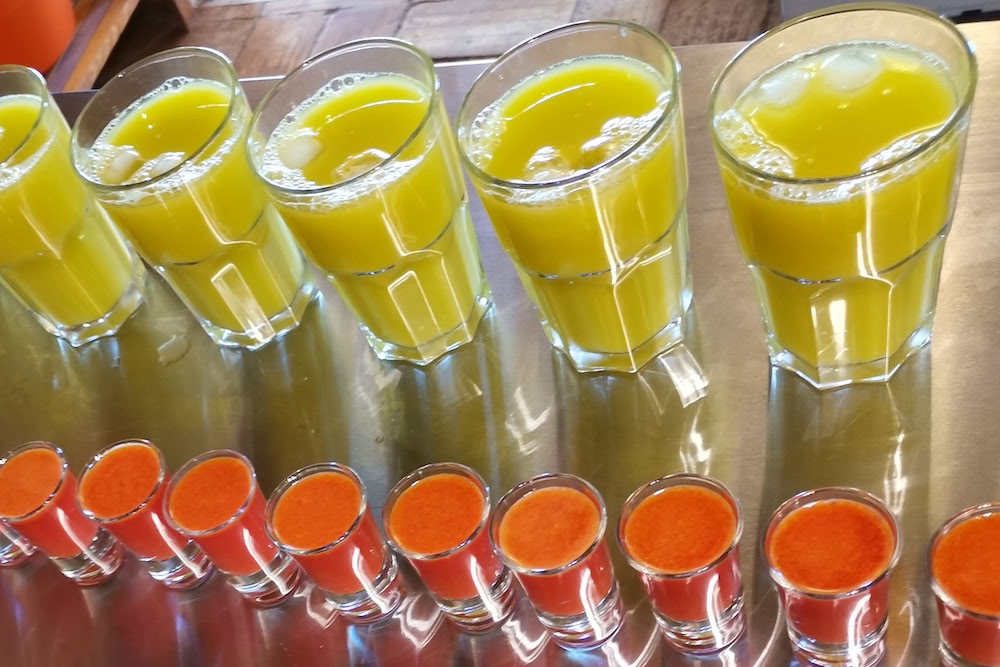 Juicedetox, yoga och välmåenderetreat – 31 okt 2026 - 07 nov 2026