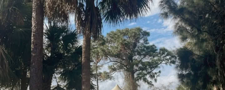 Vild familjevårretreat i Florida