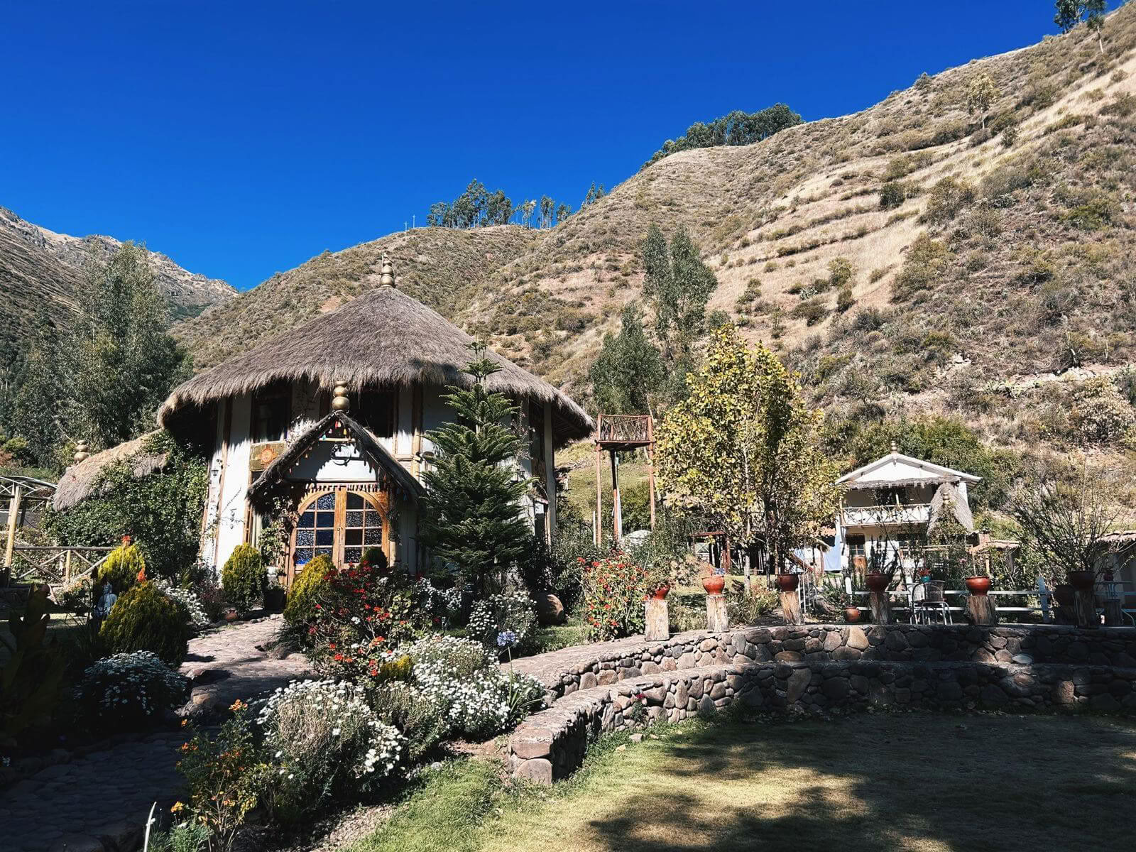 Privat ayahuascaceremoni med rening (heldag) ayahuascaceremoni med rening (privat, heldag) 1 ayahuascasession
