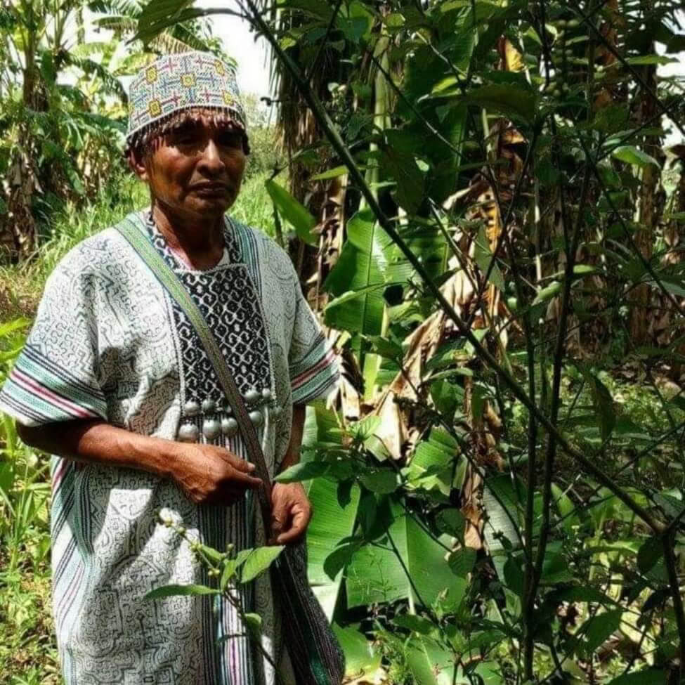 Ayahuasca-retreat i Peru med uråldriga ceremonier (5 dagar)