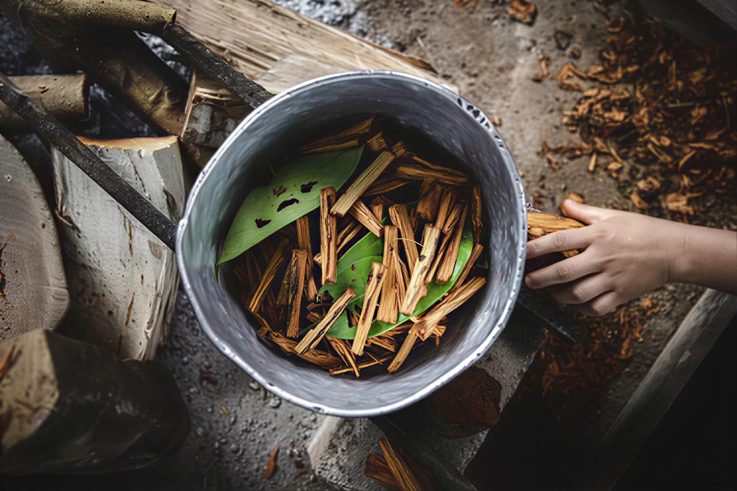 Privat ayahuasca-retreat med andinska ritualer (3 dagar) ayahuasca-ceremoni-retreat med andinska ritualer (privat, 3 dagar) 2 ayahuasca-sessioner