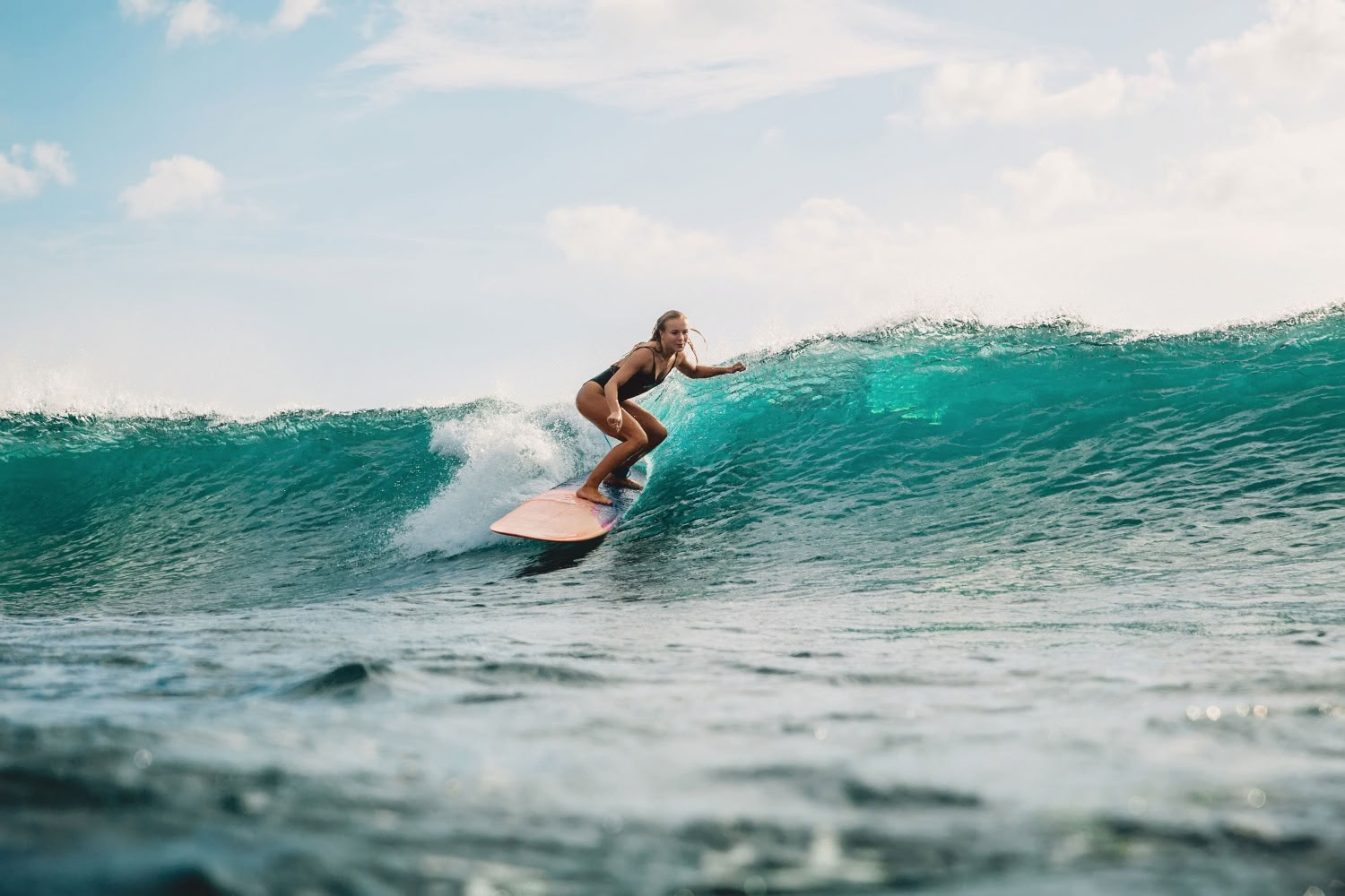 Surf & Fitness
