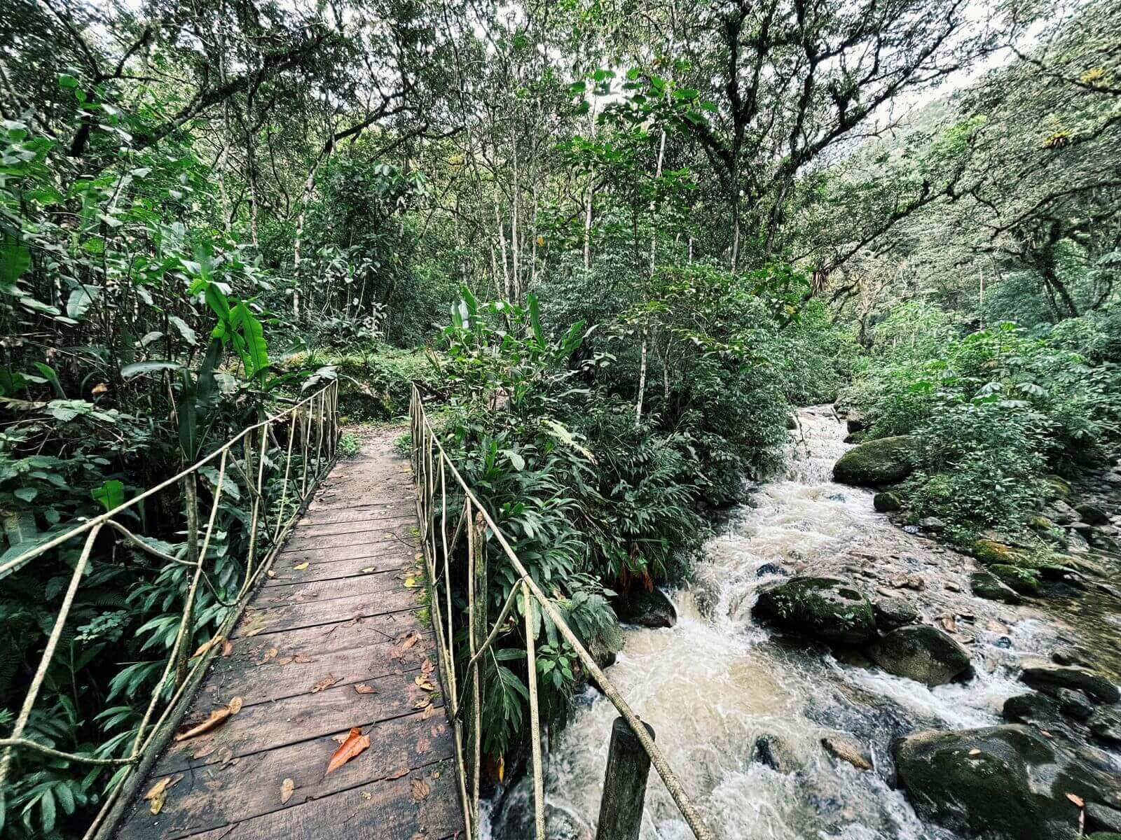 Mystiska Machu Picchu: Resa med medvetna stunder (2 dagar)