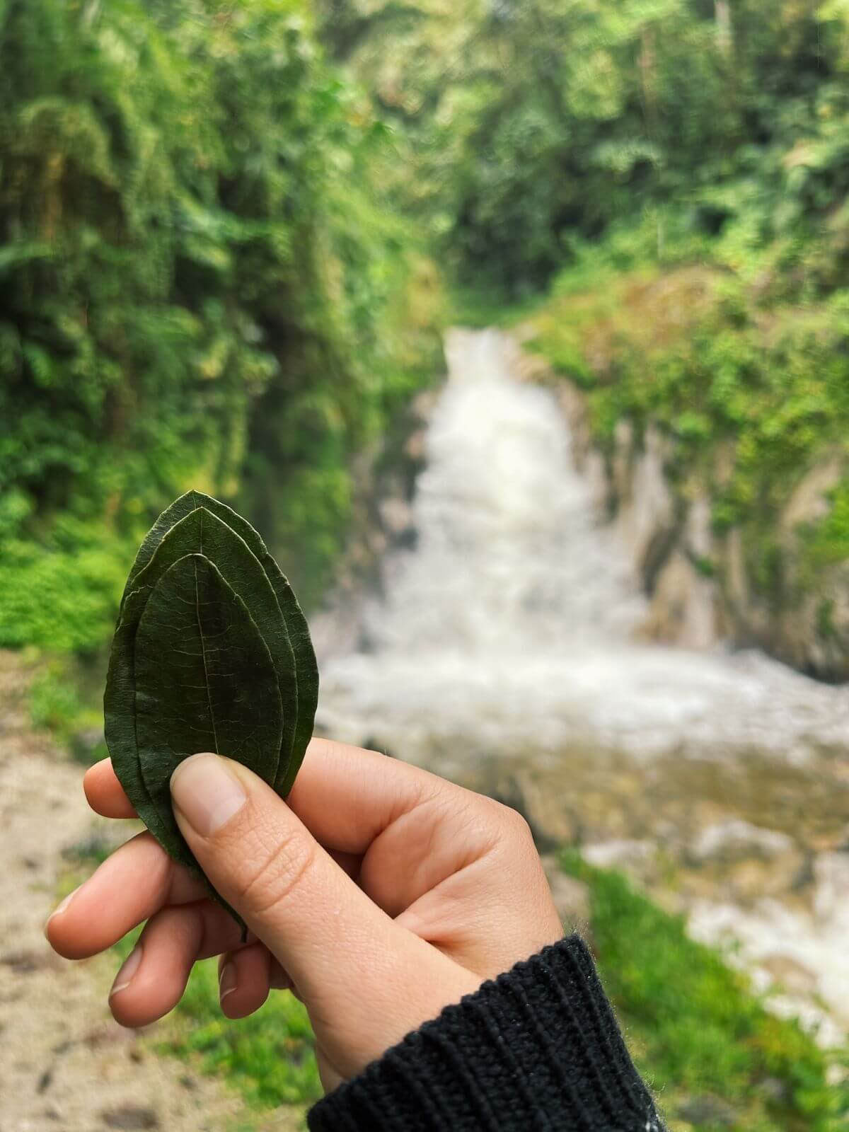 Mystiska Machu Picchu: Resa med medvetna stunder (2 dagar)