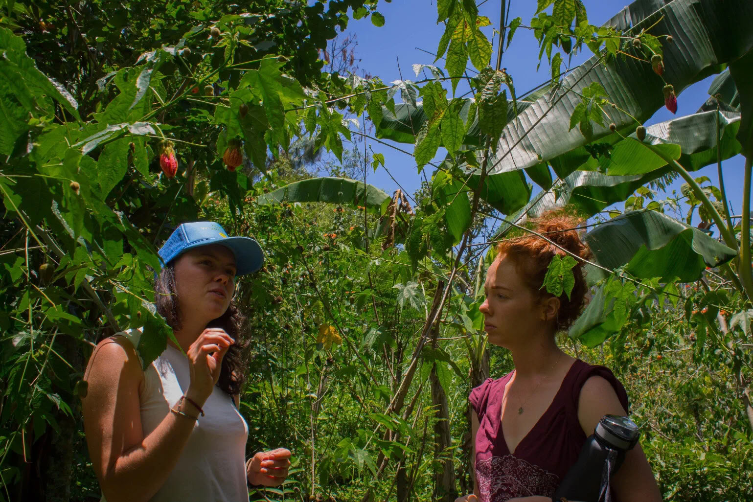 6-dagars yogaretreat i Guatemala – 1–6 september 2026 med Michelle Fajkus