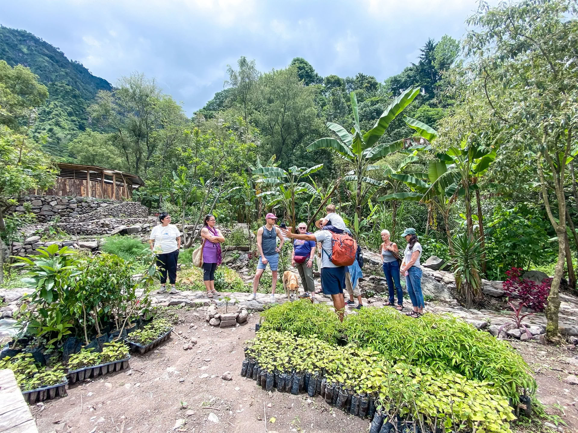 6-dagars yogaretreat i Guatemala – 12–17 juni 2027 med Michelle Fajkus