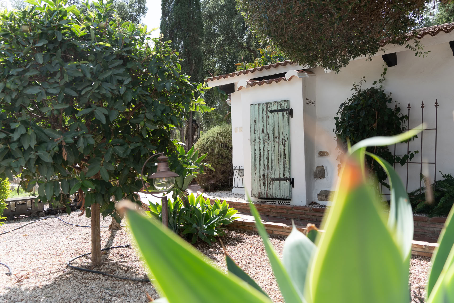 Ashtangayogaretreat i Spanien med Philippa Asher