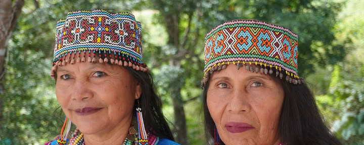 8 dagar | 7 nätter trauma-informerad Shipibo ayahuascafördjupning