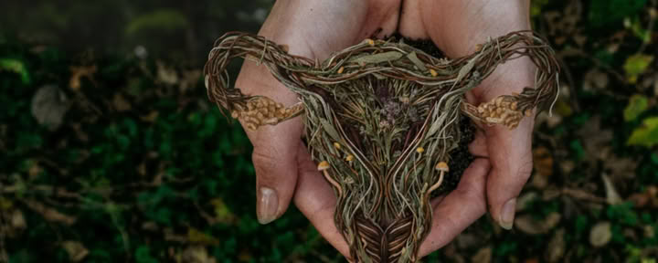 Visdom som växer fram | En fördjupning för kvinnor om psilocybin och perimenopaus – endast väntelista, datum meddelas senare