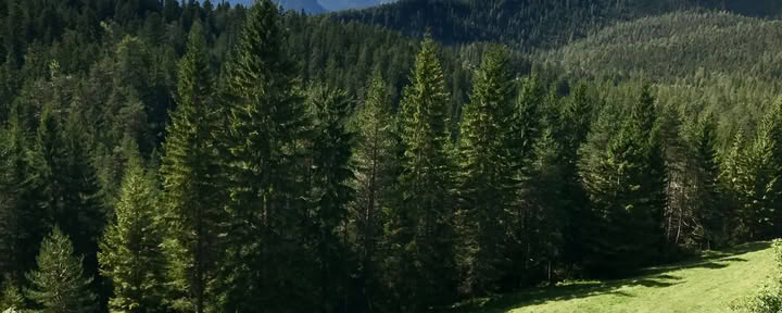 Älskad yoga