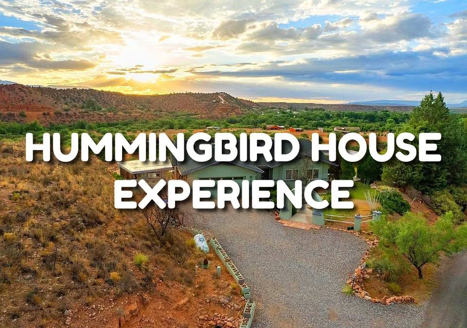 Hummingbird House-upplevelse