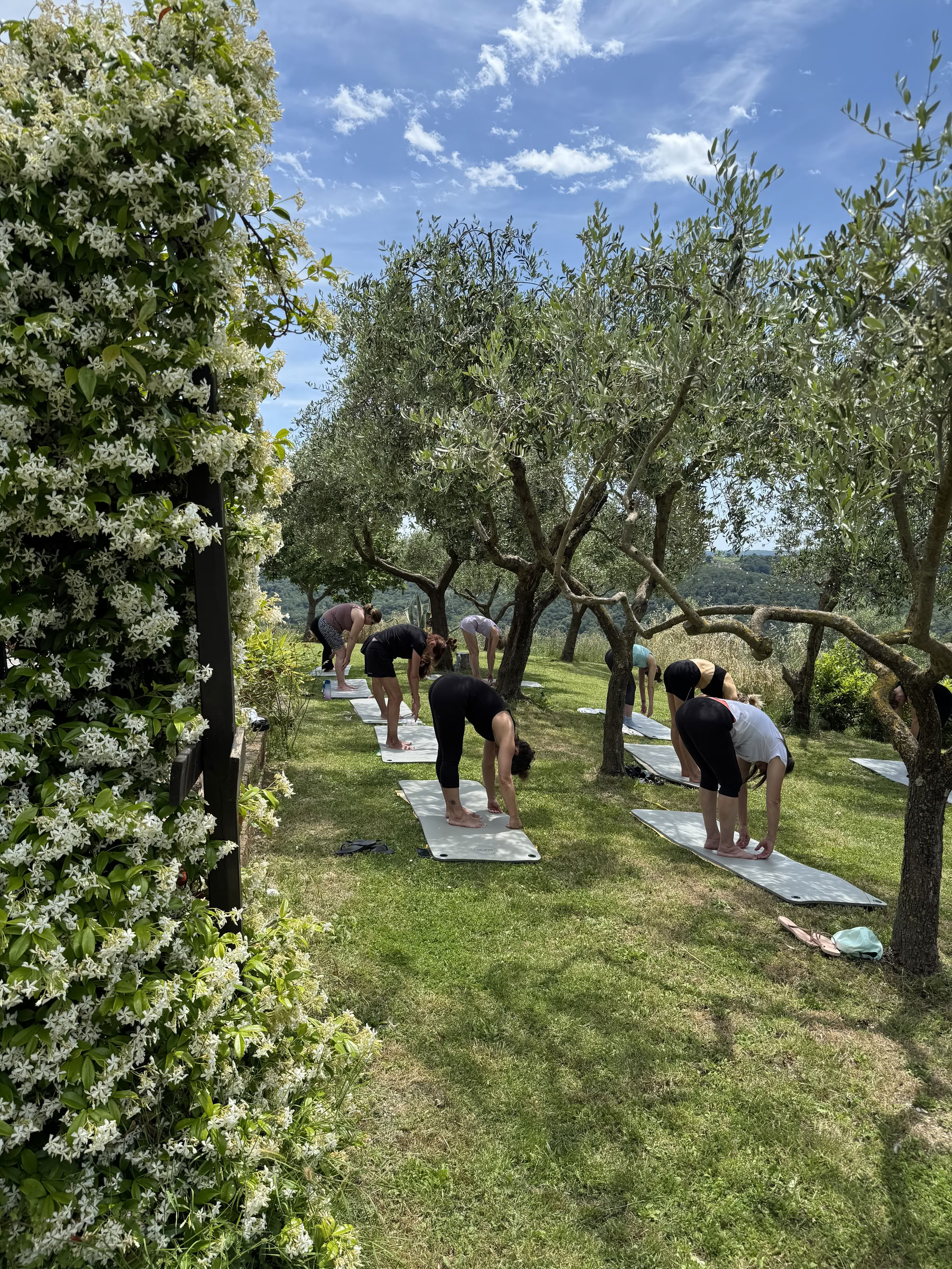Wellnessläger