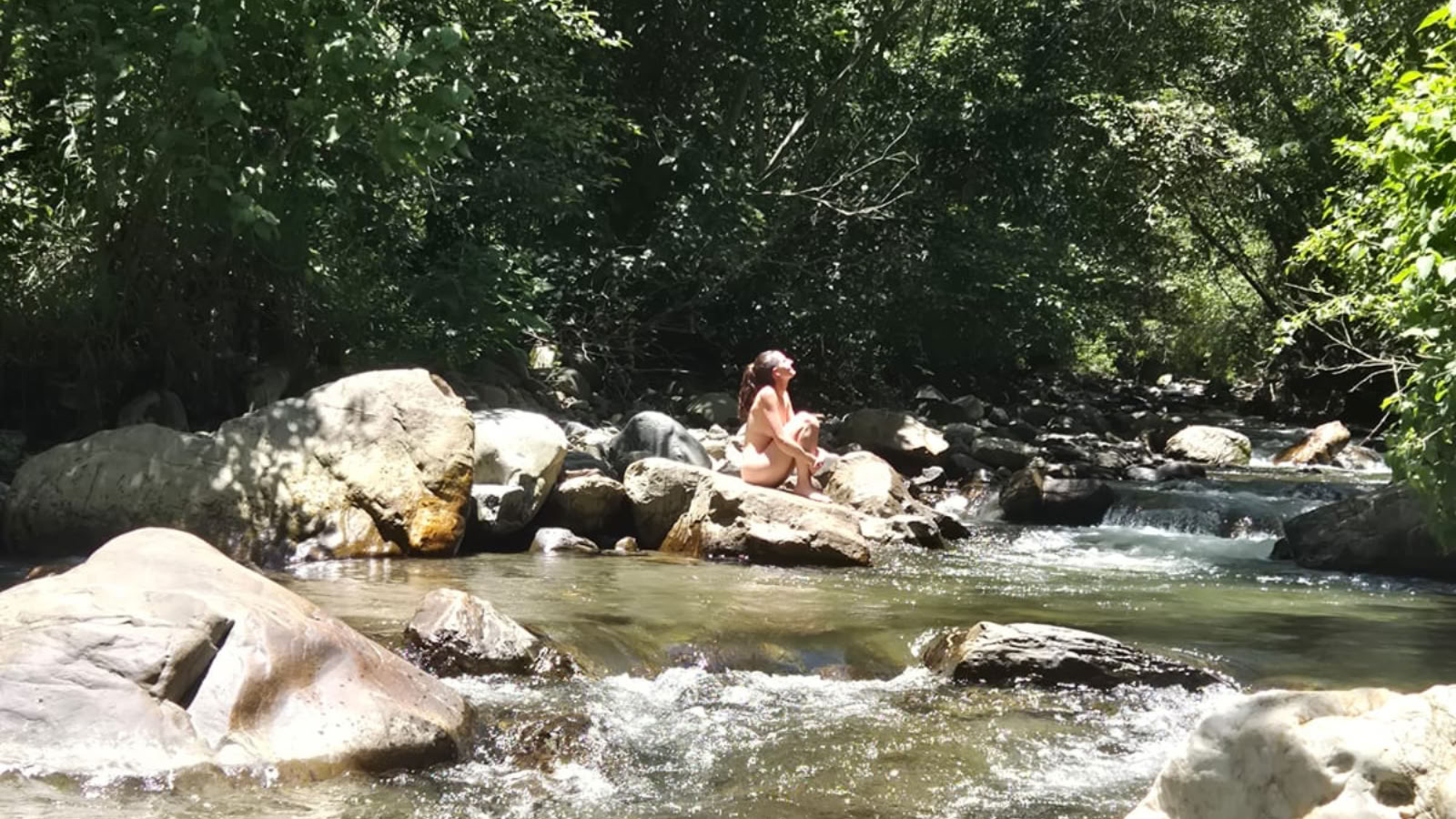 8-dagars ayahuasca- och San Pedro-retreat i Ecuador | Växtmedicinsk retreat