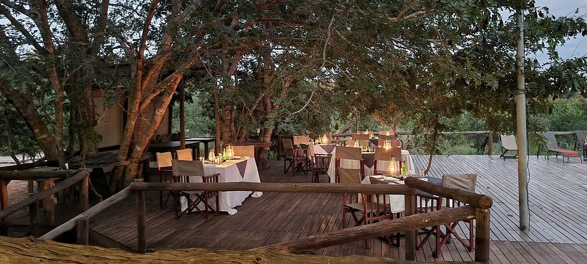 Hälsa och välmående-safari
