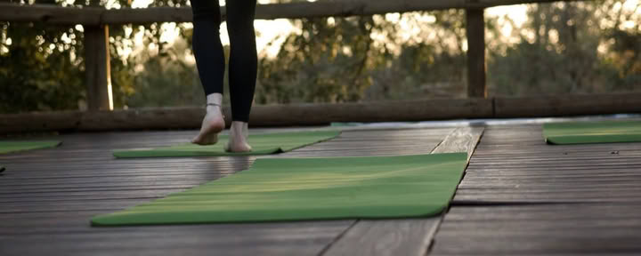 Yoga med elefanter