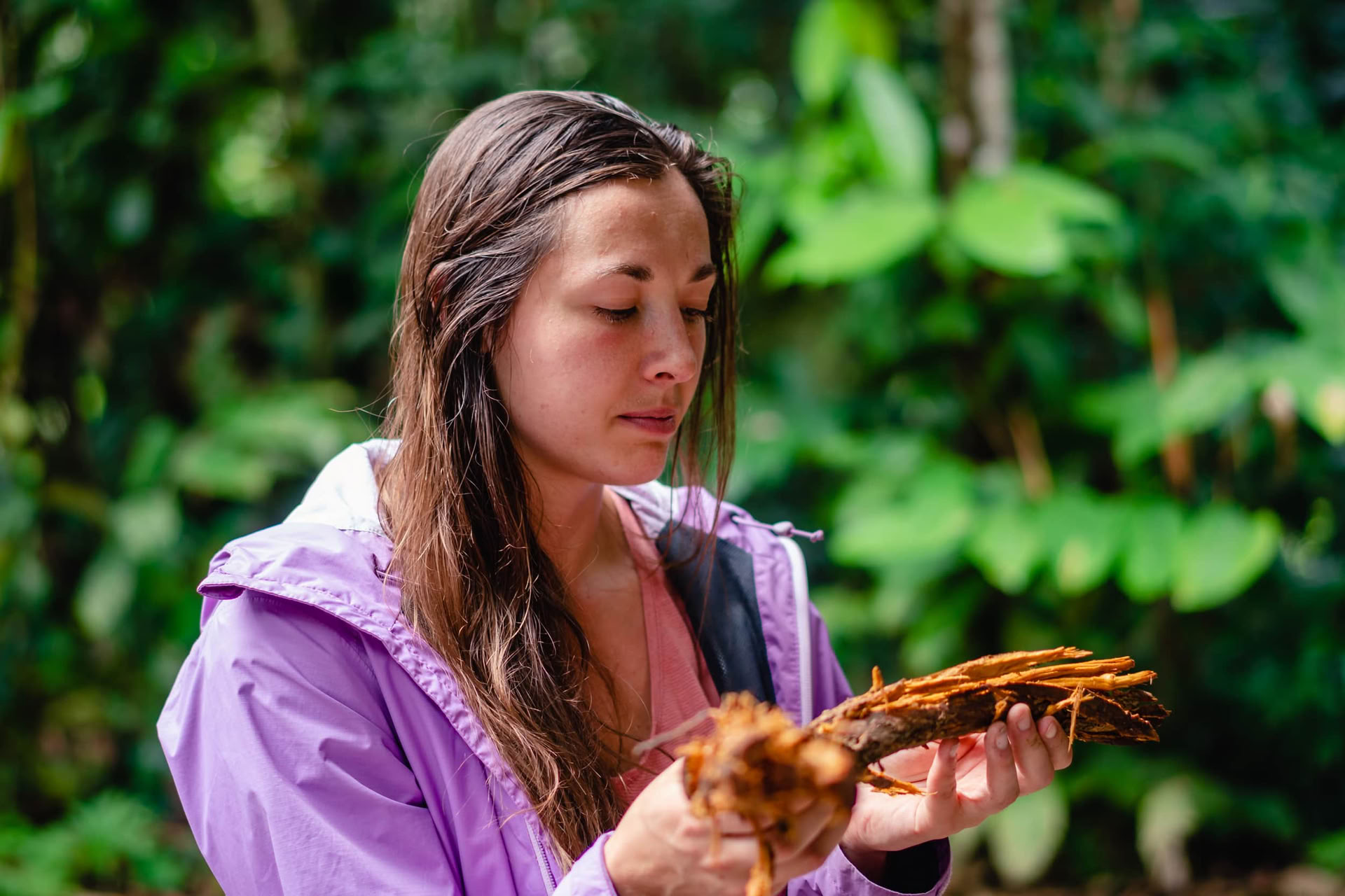 Ayahuasca Retreat för strålande förnyelse i juli 2026 (12 dagar)