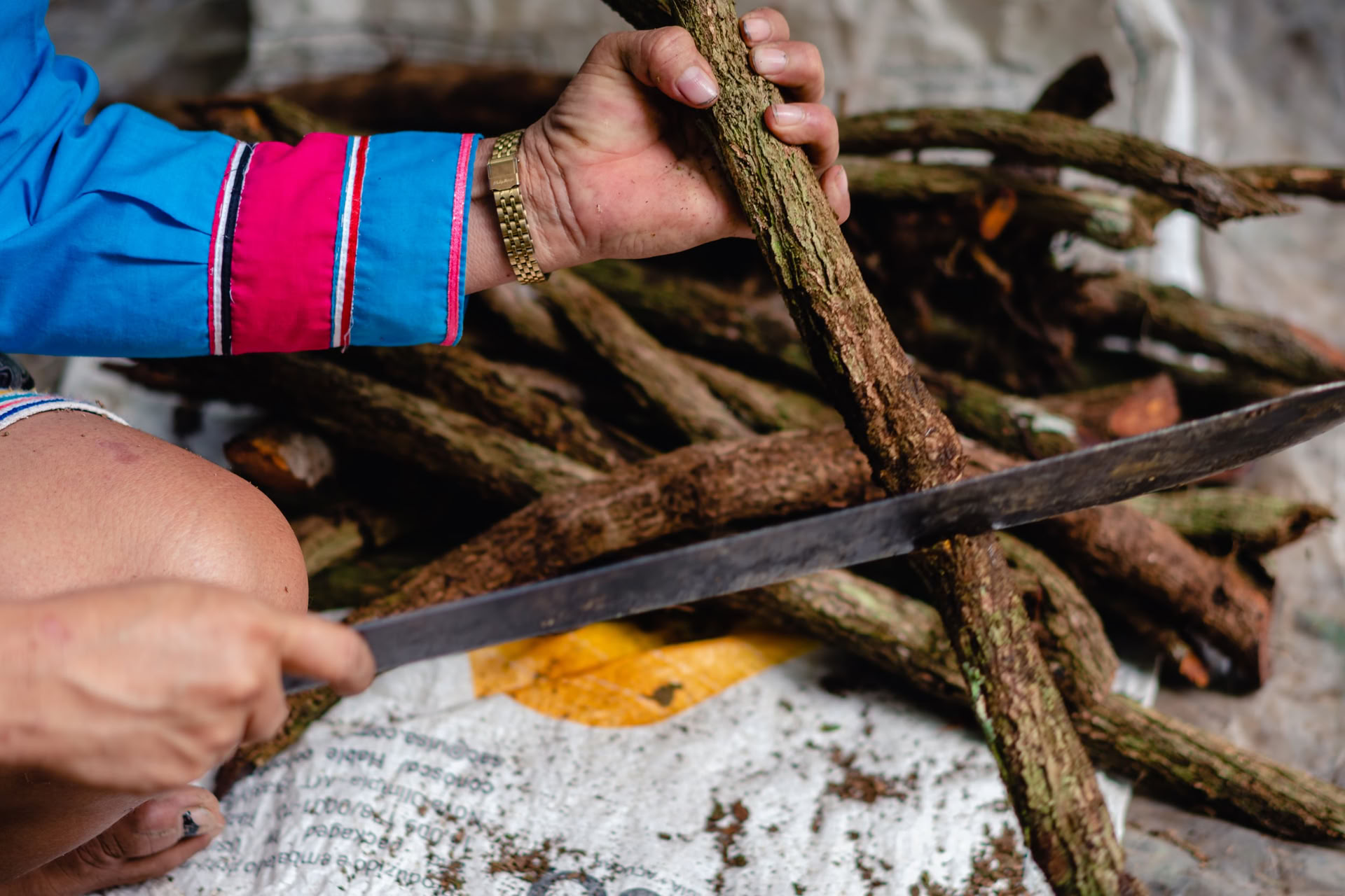 Ayahuasca-retreat för inre vision juli 2026 (8 dagar)