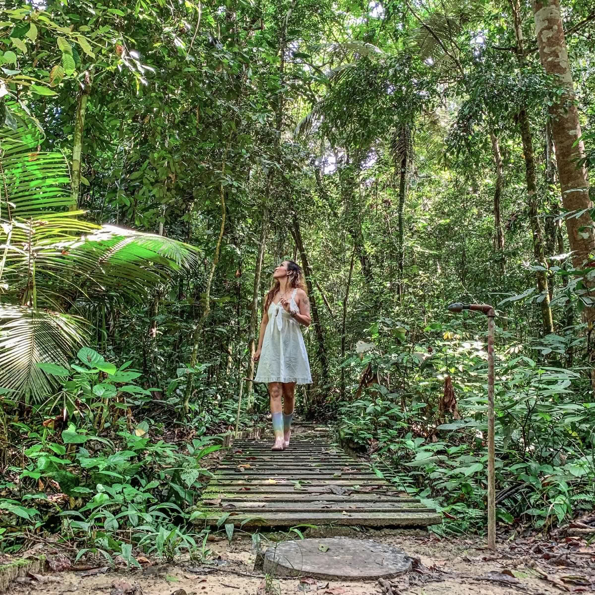 Ayahuasca december 2026 Uppvaknande harmoni-retreat (12 dagar)