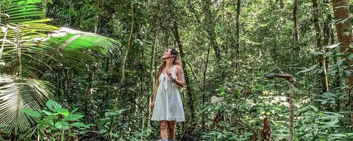 Ayahuasca december 2026 Uppvaknande harmoni-retreat (12 dagar)