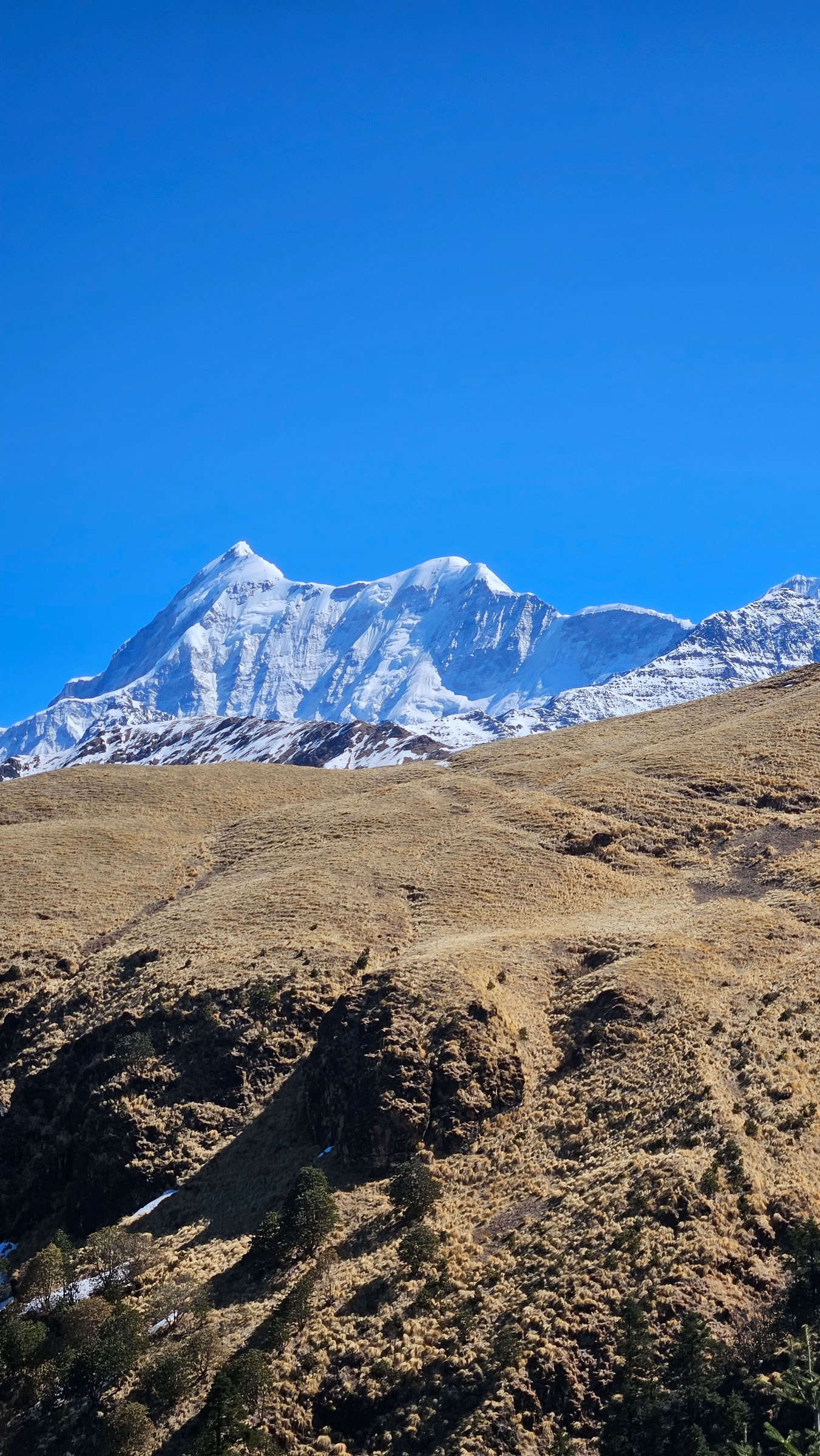Bedni Bugyal-trek – 9–13 juli 2026