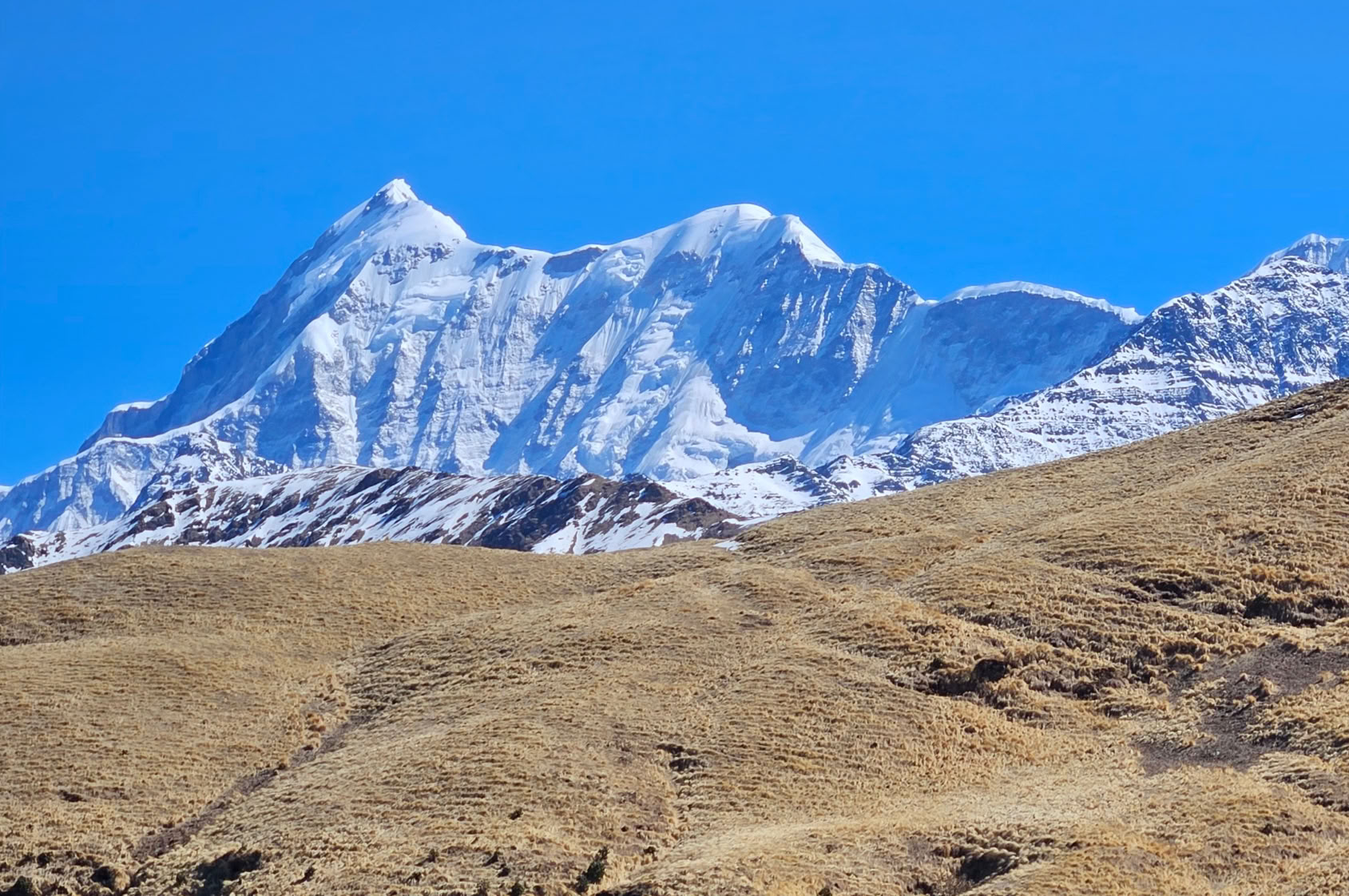 Bedni Bugyal-trek – 9–13 juli 2026