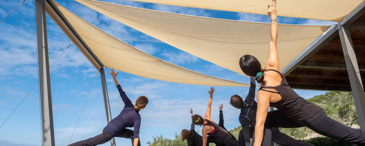 100-timmars lärarutbildning: Abhaya Yoga TT