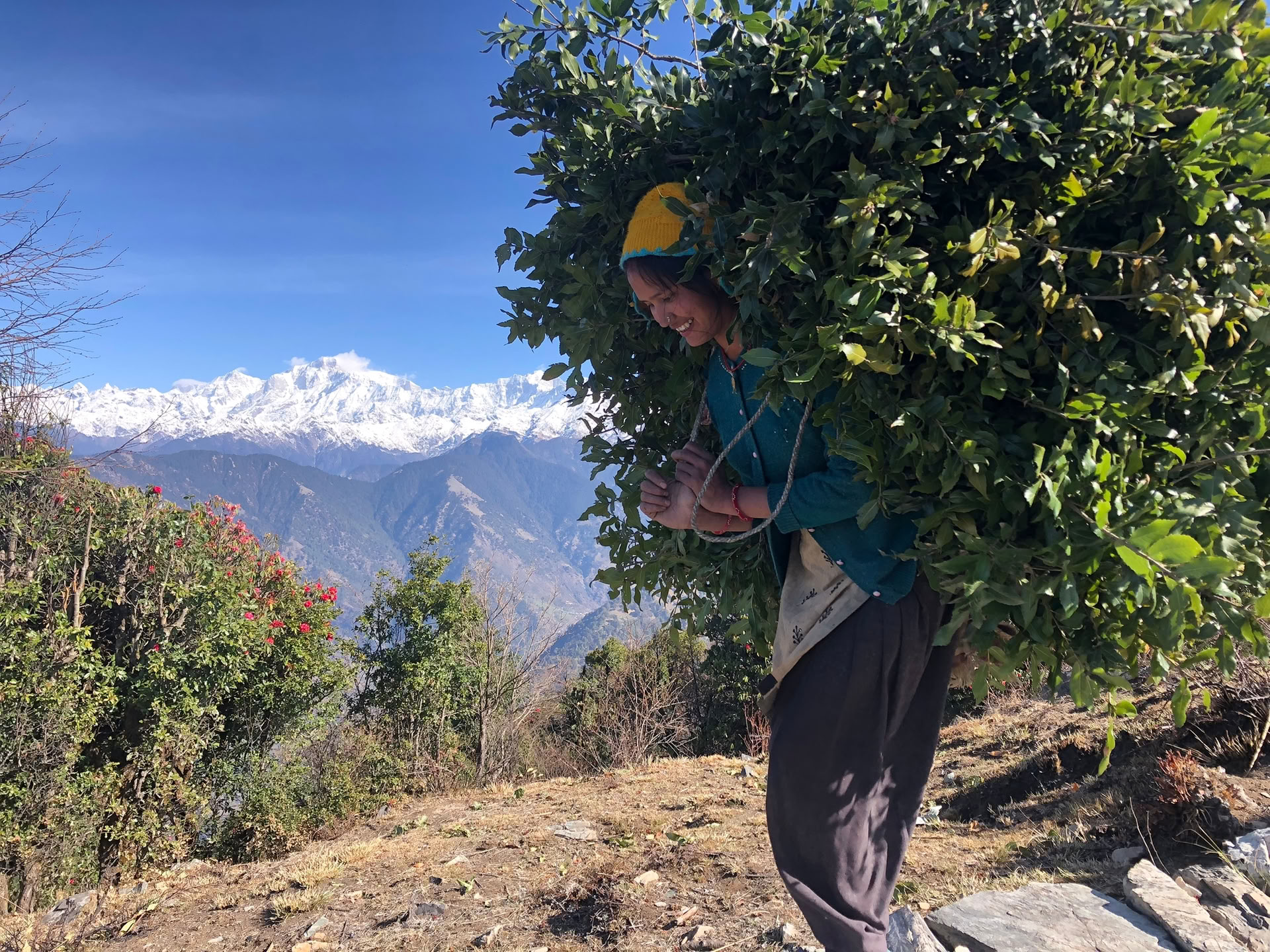 Chopta-Tungnath-leden