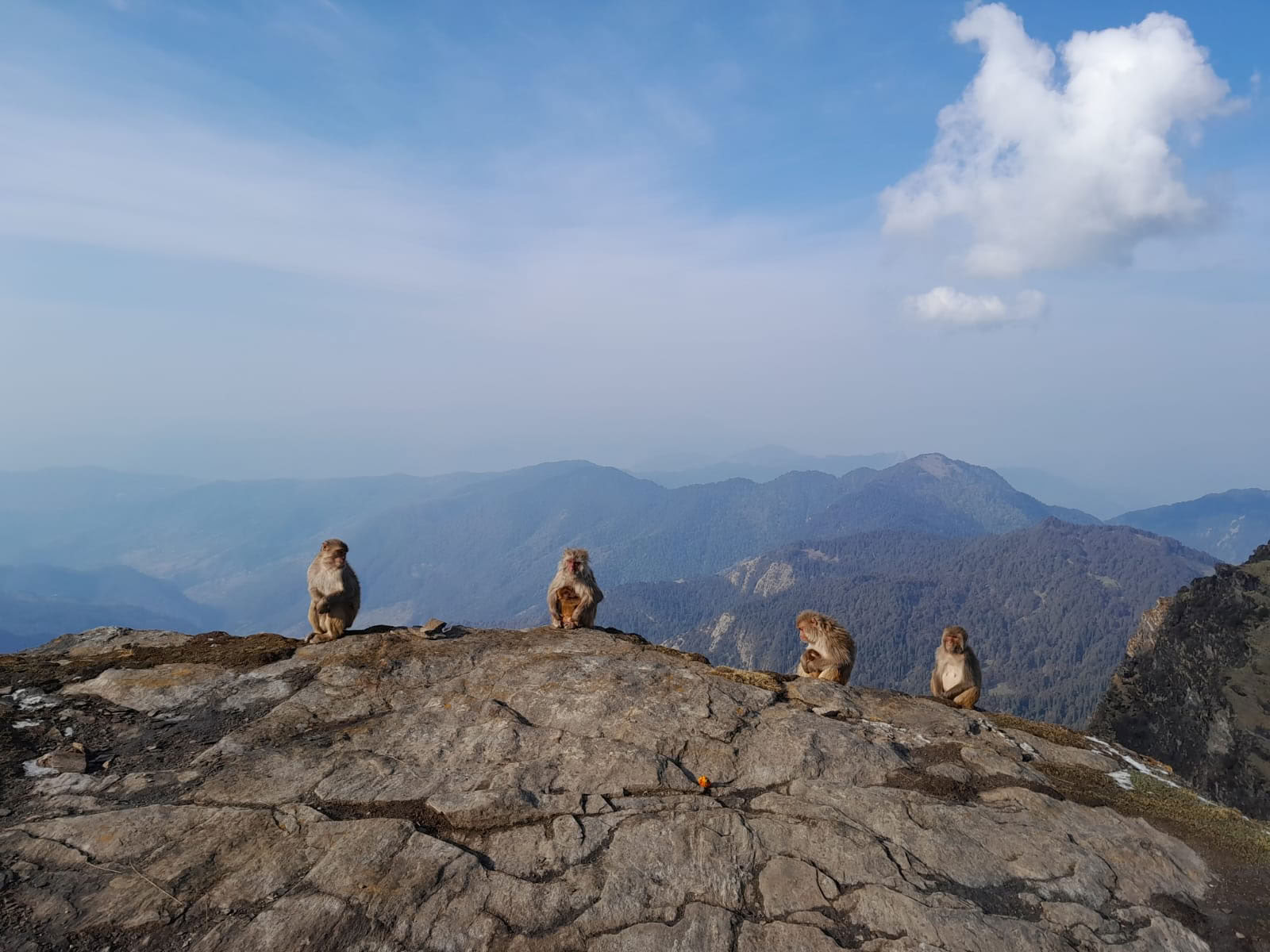 Chopta-Tungnath-leden