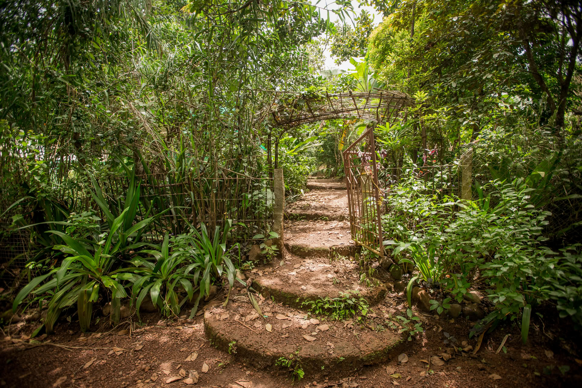 Saundarya Yoga-retreat