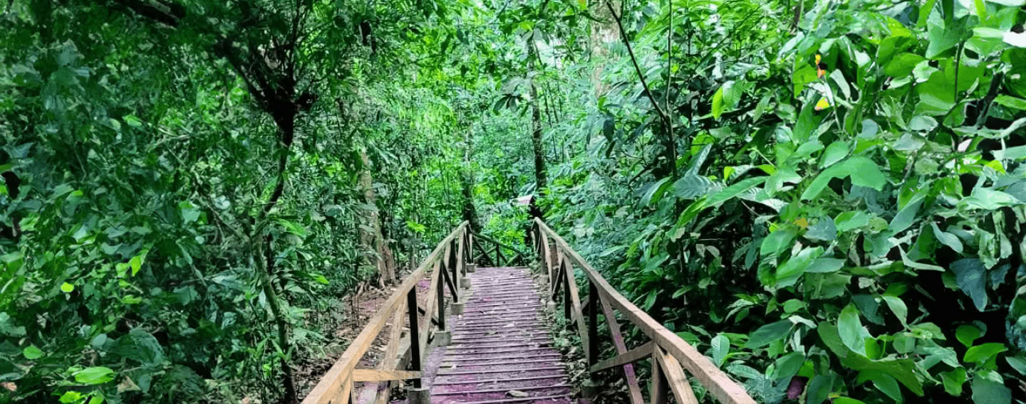 10-dagarsretreat