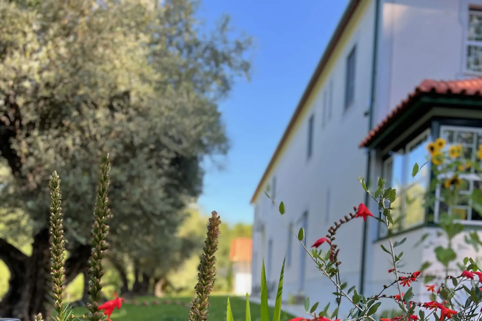 Mor- och dotterretreat