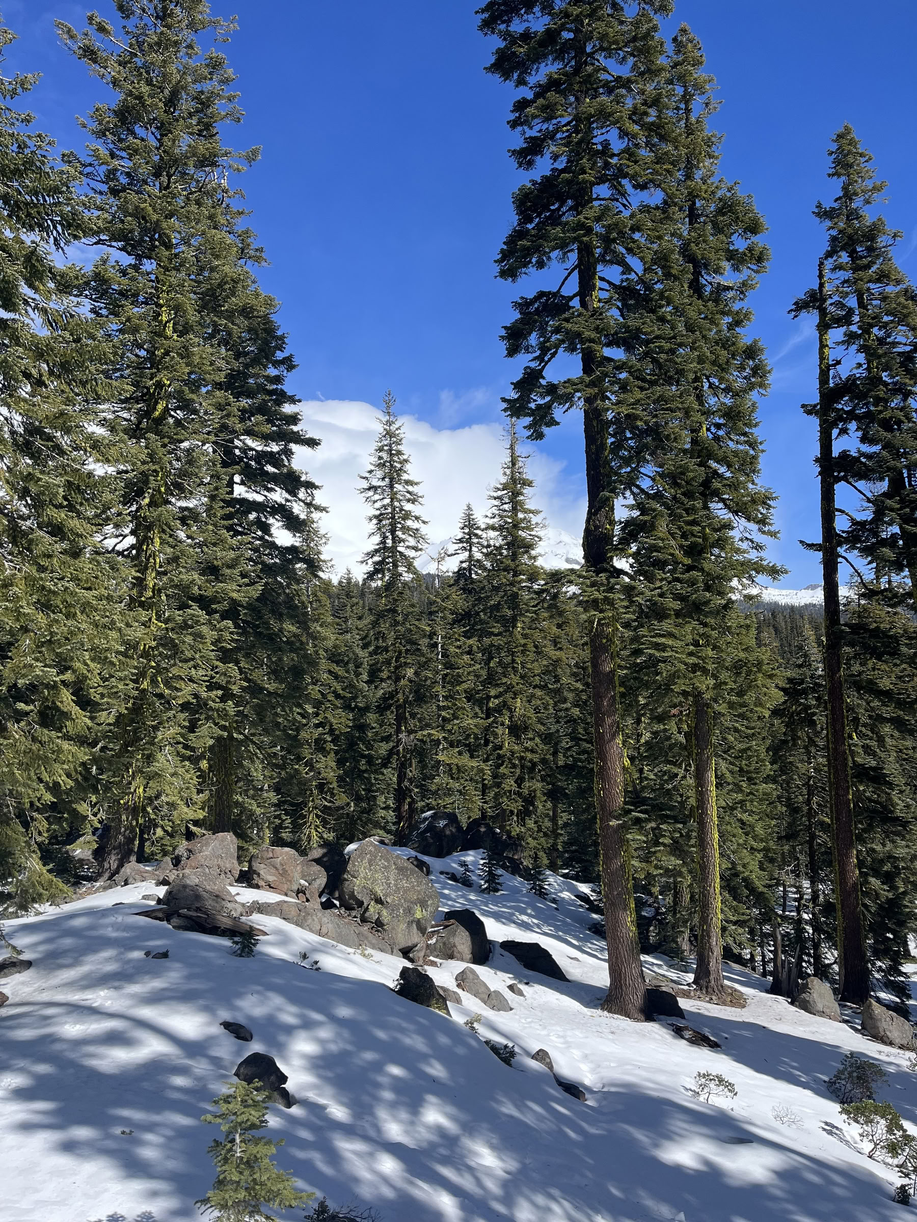 Djup inre frid-retreat: Mt. Shasta, CA
