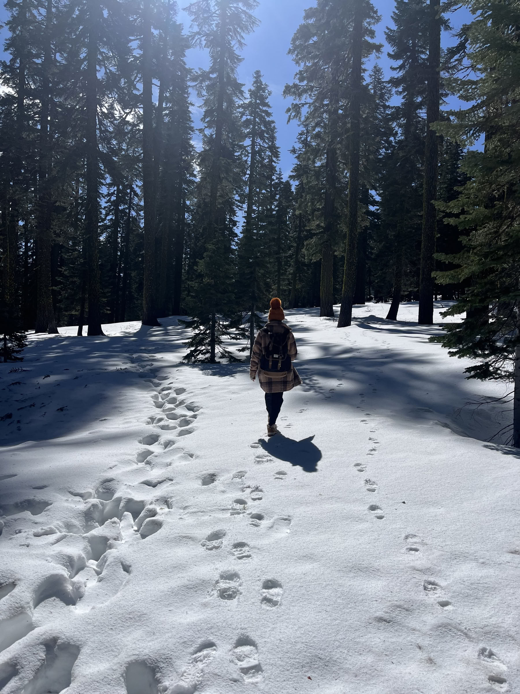 Djup inre frid-retreat: Mt. Shasta, CA