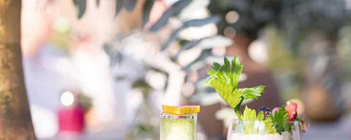 Detox Deluxe-retreat i oktober