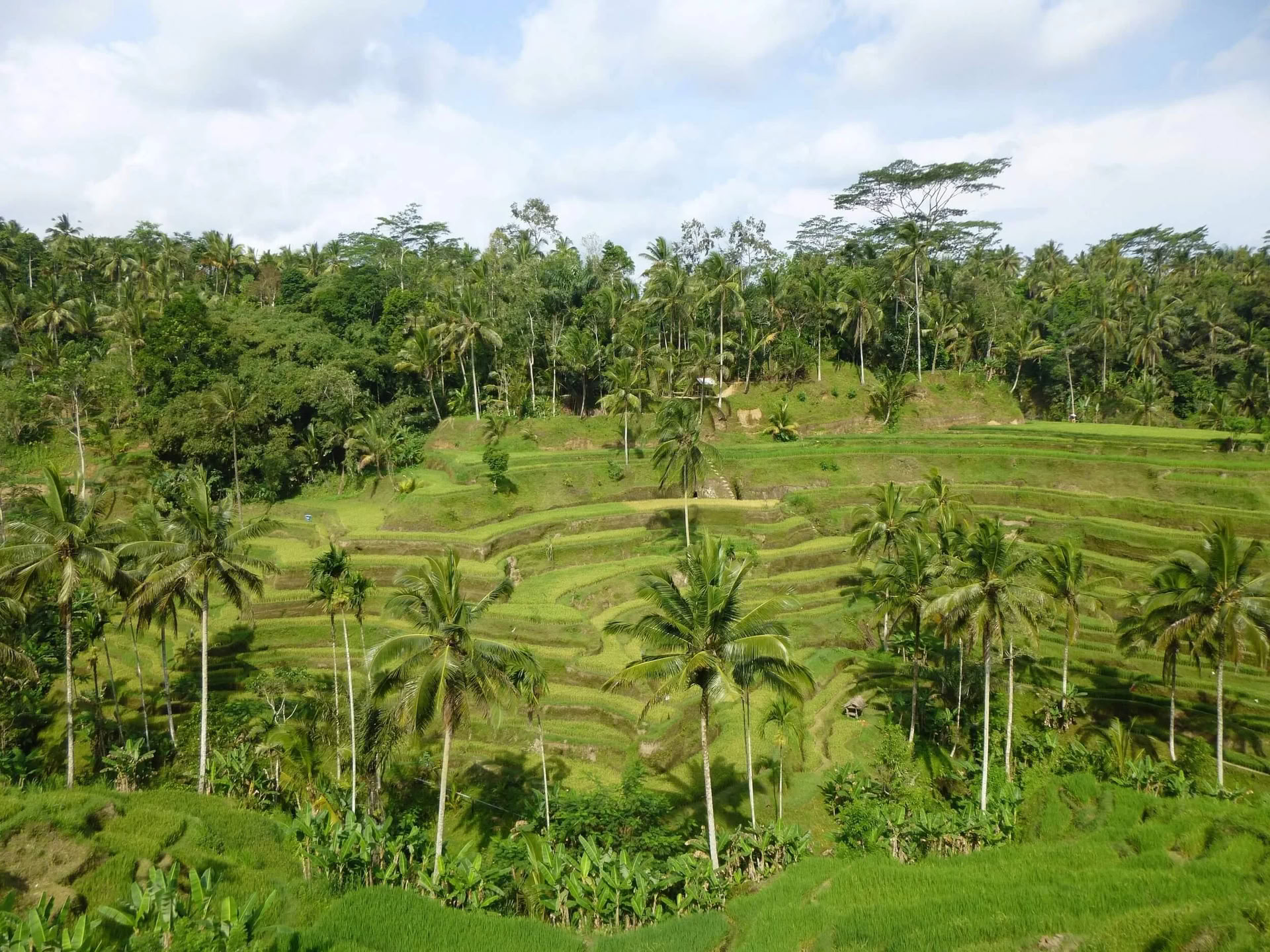Egentid. På mitt sätt. Wellnessretreat på Bali