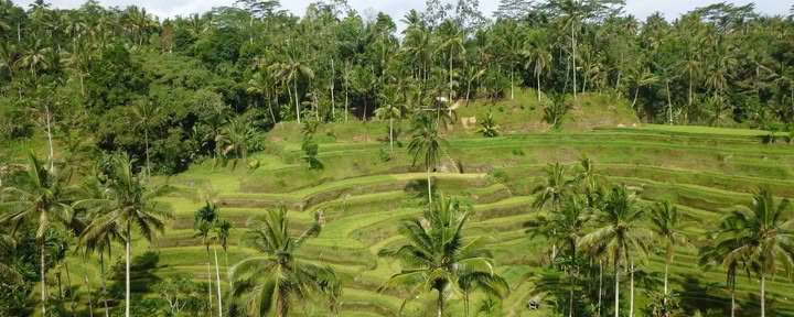Egentid. På mitt sätt. Wellnessretreat på Bali