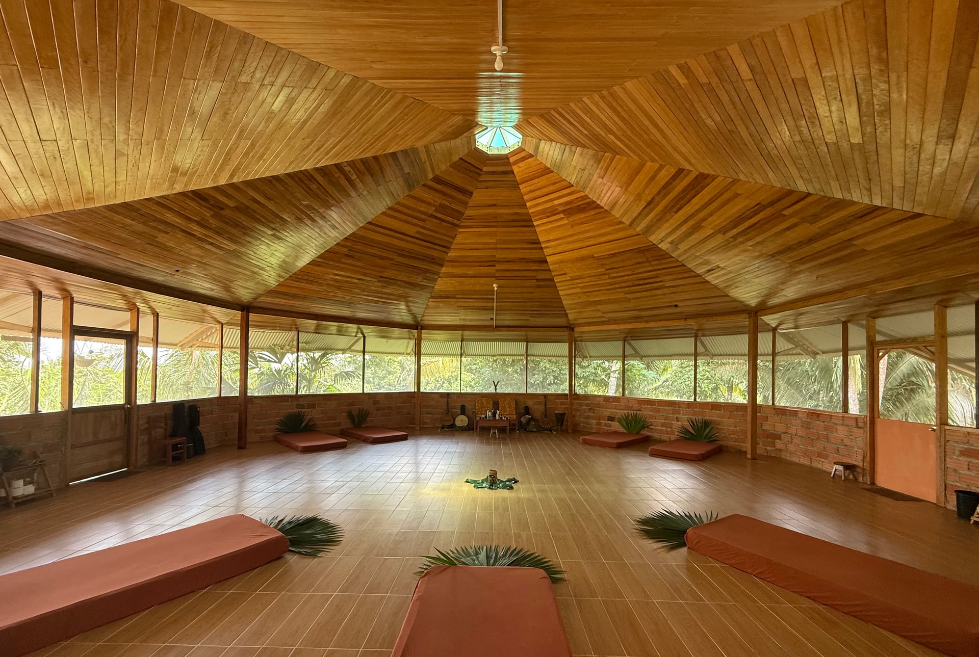 8-dagars medicin- och konstretreat