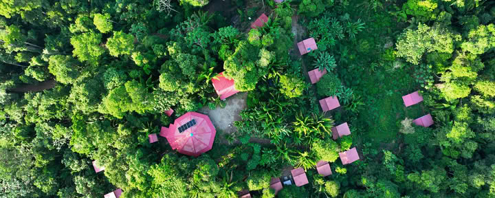 Ayahuasca-retreat i Pucallpa