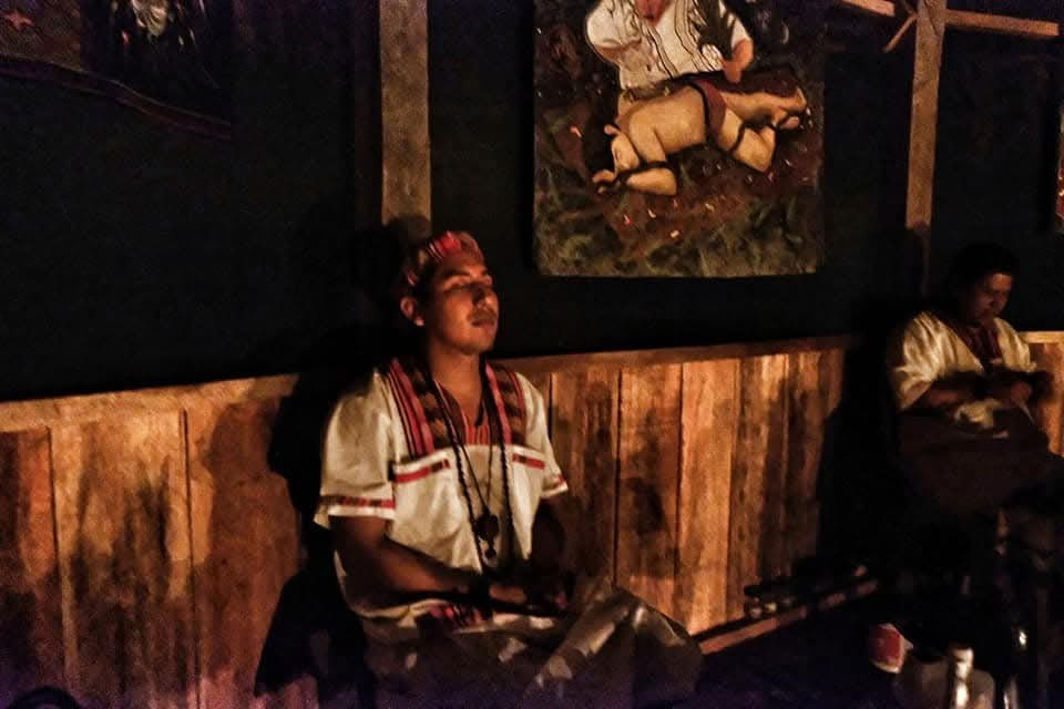 30-dagars ayahuascaretreat med 16 ceremonier och dieta i Iquitos, Peru