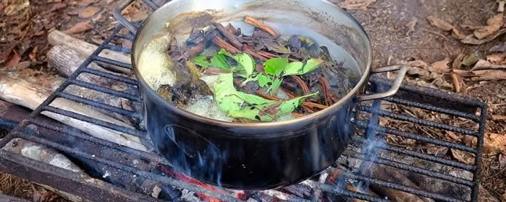 5 dagars ayahuascaretreat i Iquitos, Peru