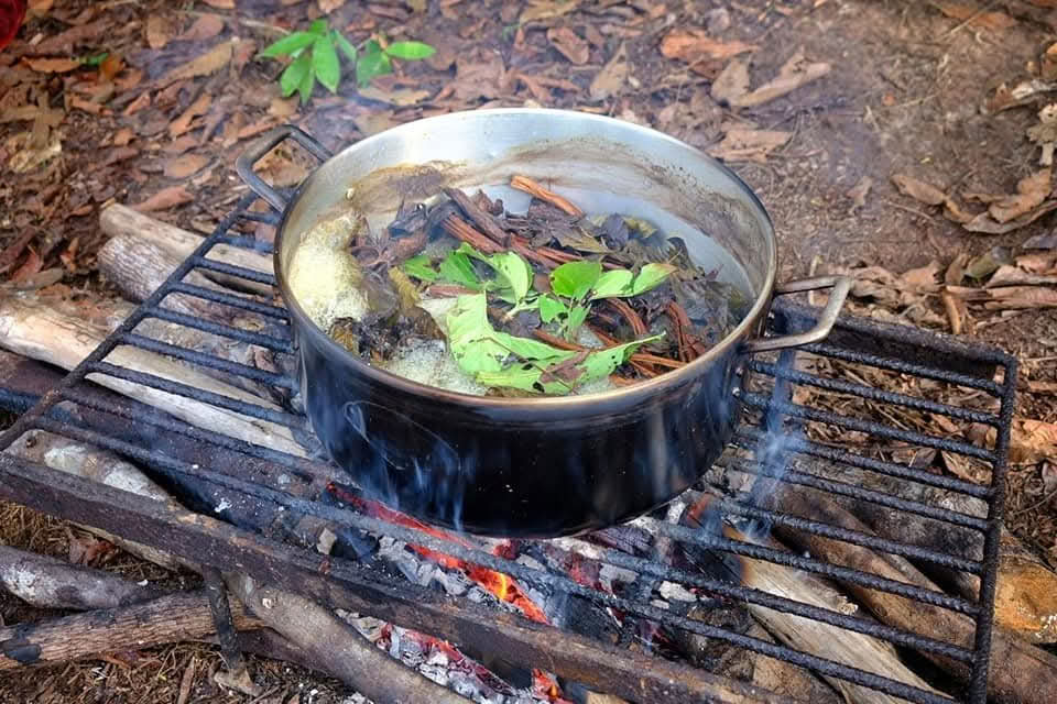 12 dagars ayahuasca-retreat i Peru på Selva Madre